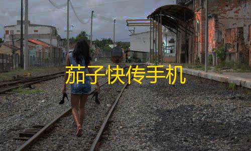 三角洲辅助网茄子快传手机